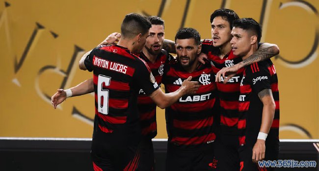 弗拉门戈领跑巴甲积分榜